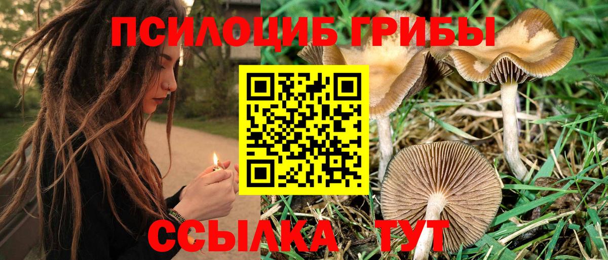 Псков  Псилоцибиновые грибы MAGIC MUSHROOMS  Вход с VPN 