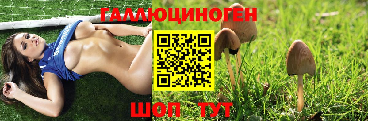 Галлюциногенные грибы Magic Shrooms Псков